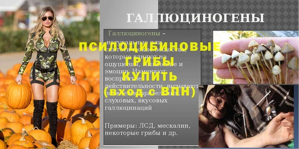 соль ск Абдулино