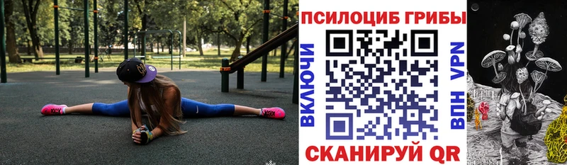магазин Магадан Псилоцибиновые грибы ЛСД